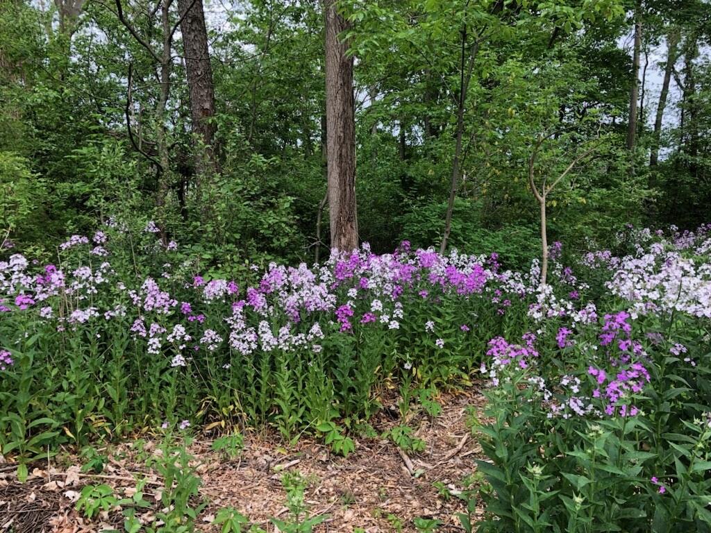 South Haven, Michigan 49090, United States, 2 Bedrooms Bedrooms, ,1 BathroomBathrooms,Residential,Pending,144900