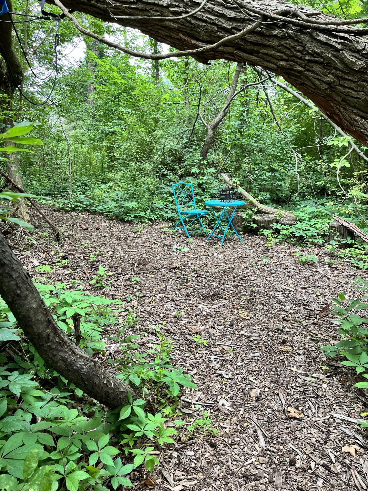 South Haven, Michigan 49090, United States, 2 Bedrooms Bedrooms, ,1 BathroomBathrooms,Residential,Pending,144900