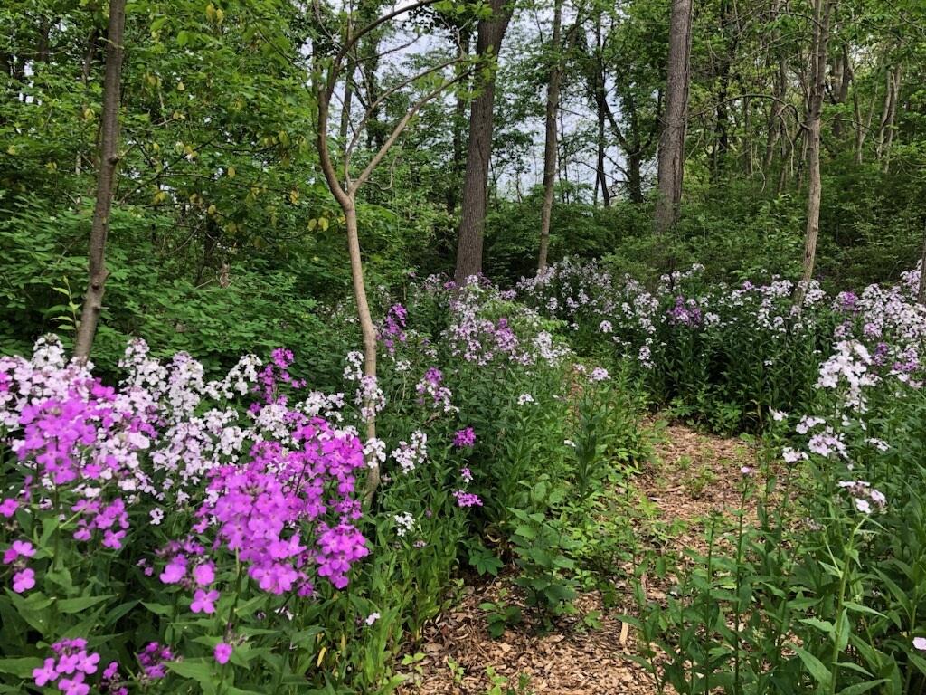 South Haven, Michigan 49090, United States, 2 Bedrooms Bedrooms, ,1 BathroomBathrooms,Residential,Pending,144900