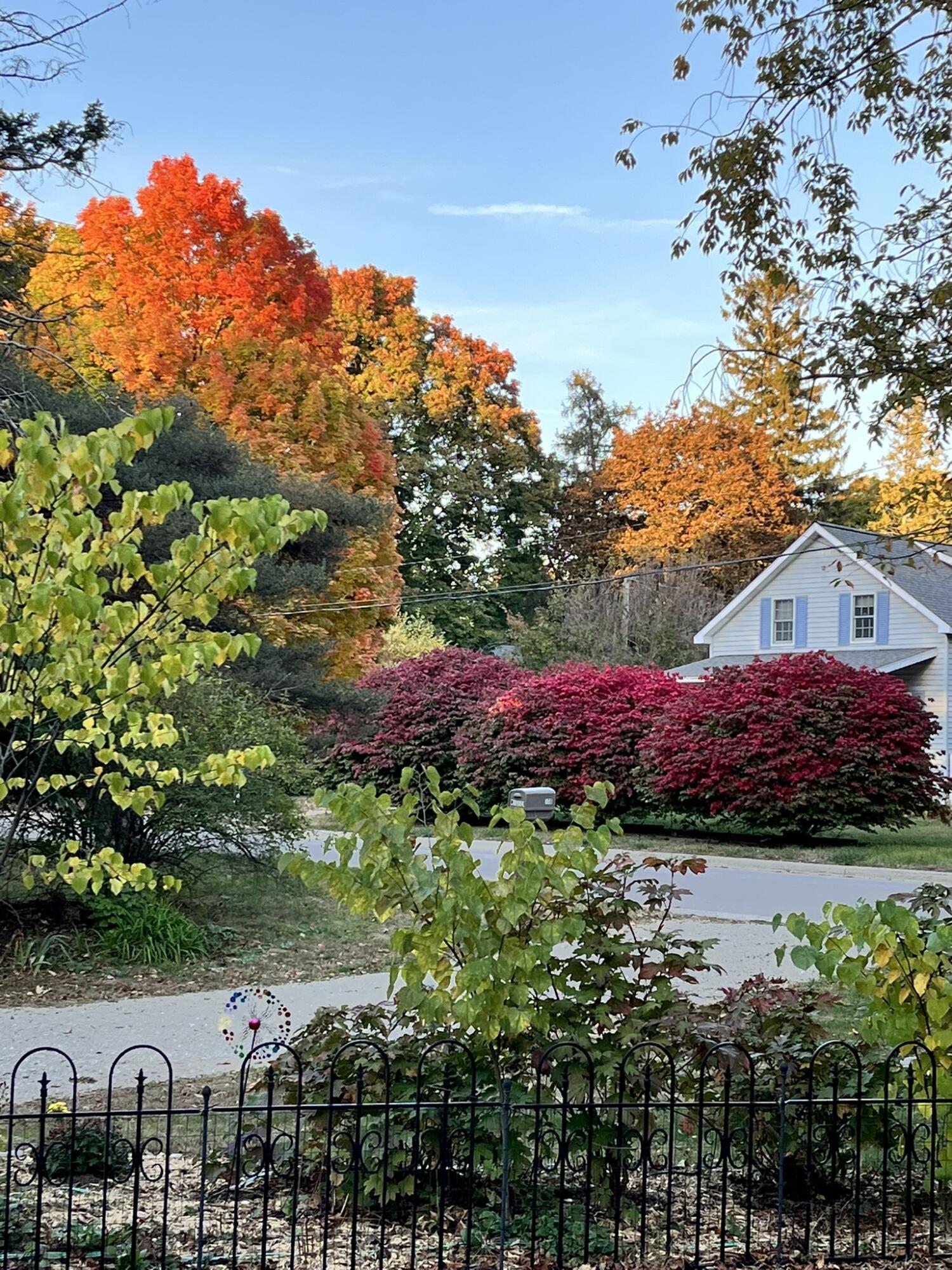 South Haven, Michigan 49090, United States, 2 Bedrooms Bedrooms, ,1 BathroomBathrooms,Residential,Pending,144900