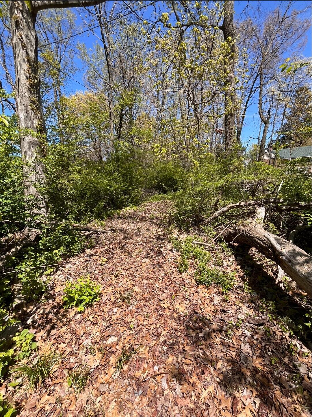 South Haven, Michigan 49090, United States, 2 Bedrooms Bedrooms, ,1 BathroomBathrooms,Residential,Pending,144900