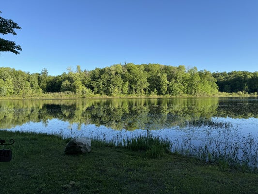 VL E WOODLAWN AVENUE, NEWAYGO, MI 49337 - Image fdd6450adbf4ce545e8f5e4a8426503d/316670826