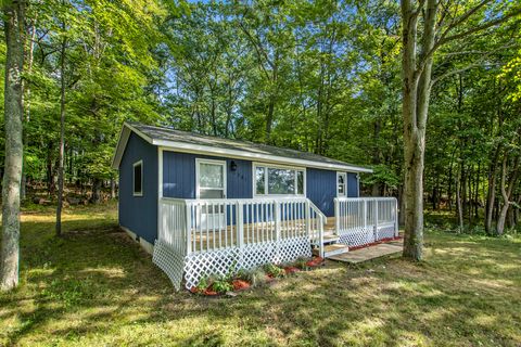 Photo of 2261 N Tallman Lake Road, Fountain, MI 49410 (MLS # 25044525)