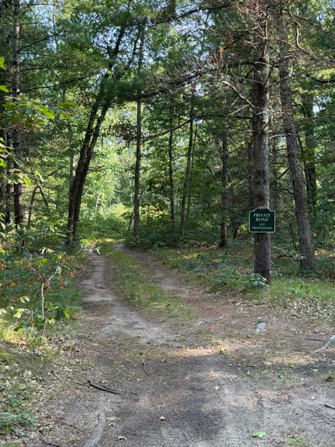 Photo of 8877 9 Mile Bridge Road, Manistee, MI 49660 (MLS # 26045277)