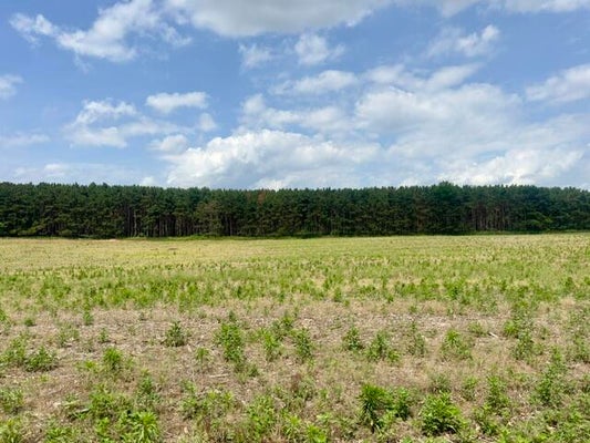 SEYMOUR RD, GRASS LAKE, MI 49240 - Image ffc6a519f8c4d7e21eb6bd845b1dddf5/2942304932