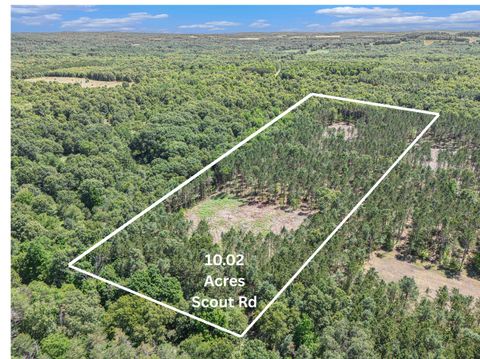 Photo of 10.02 W Scout Road, Mears, MI 49436 (MLS # 25036808)