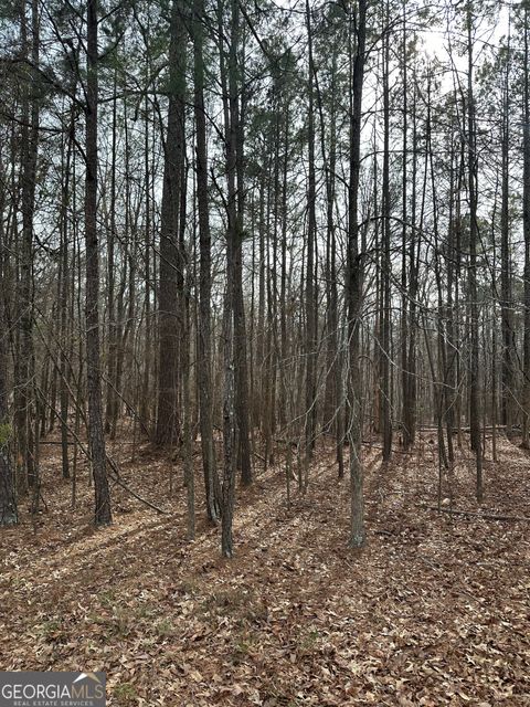 Photo of 0 Tussahaw Point Drive, Jackson, GA 30233 (MLS # 10676702)