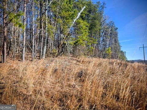 Photo of TBD Cowart Mountain Tract 3 Road, Jasper, GA 30143 (MLS # 10675850)