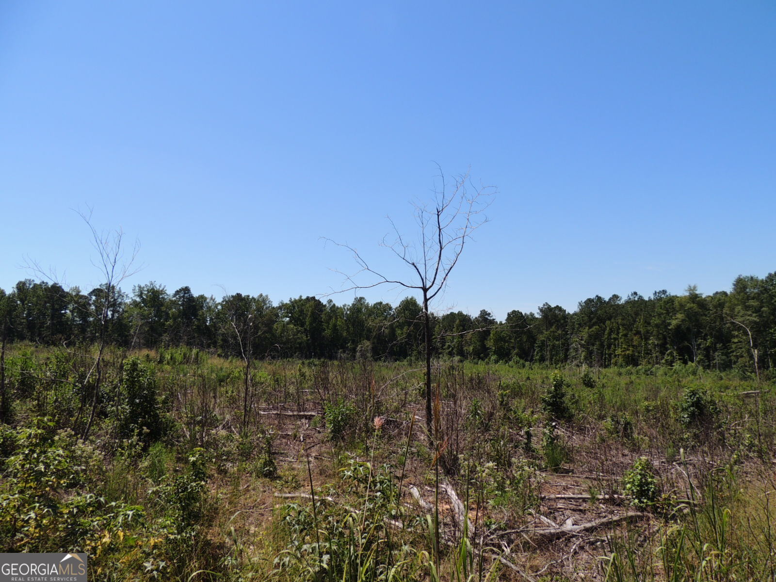 18 +/- AC Bethel RD W