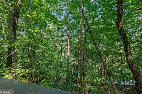 A home in Ellijay