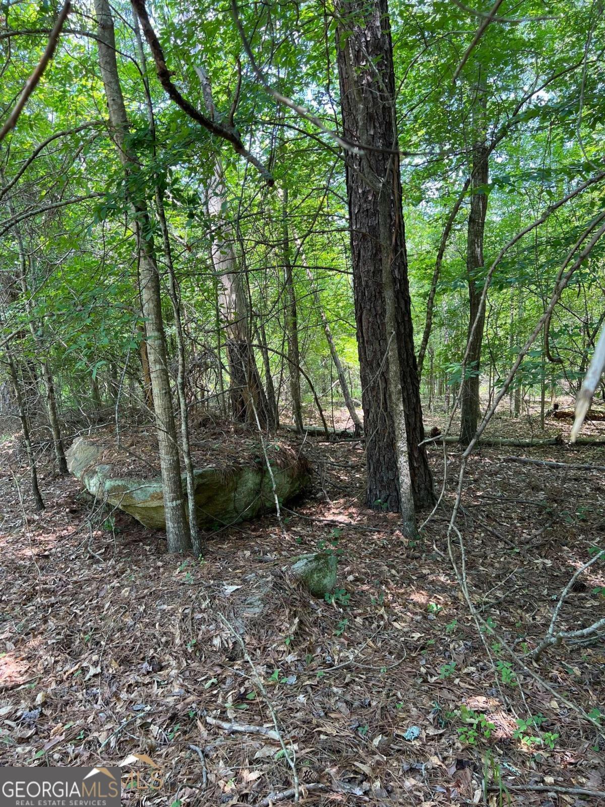 What a beautiful wooded lot! Bordered on the left by a creek and gently sloping towards the lake, it provides serene, unobstructed views of Lake Sinclair. Perfect for a crawl space or basement home.