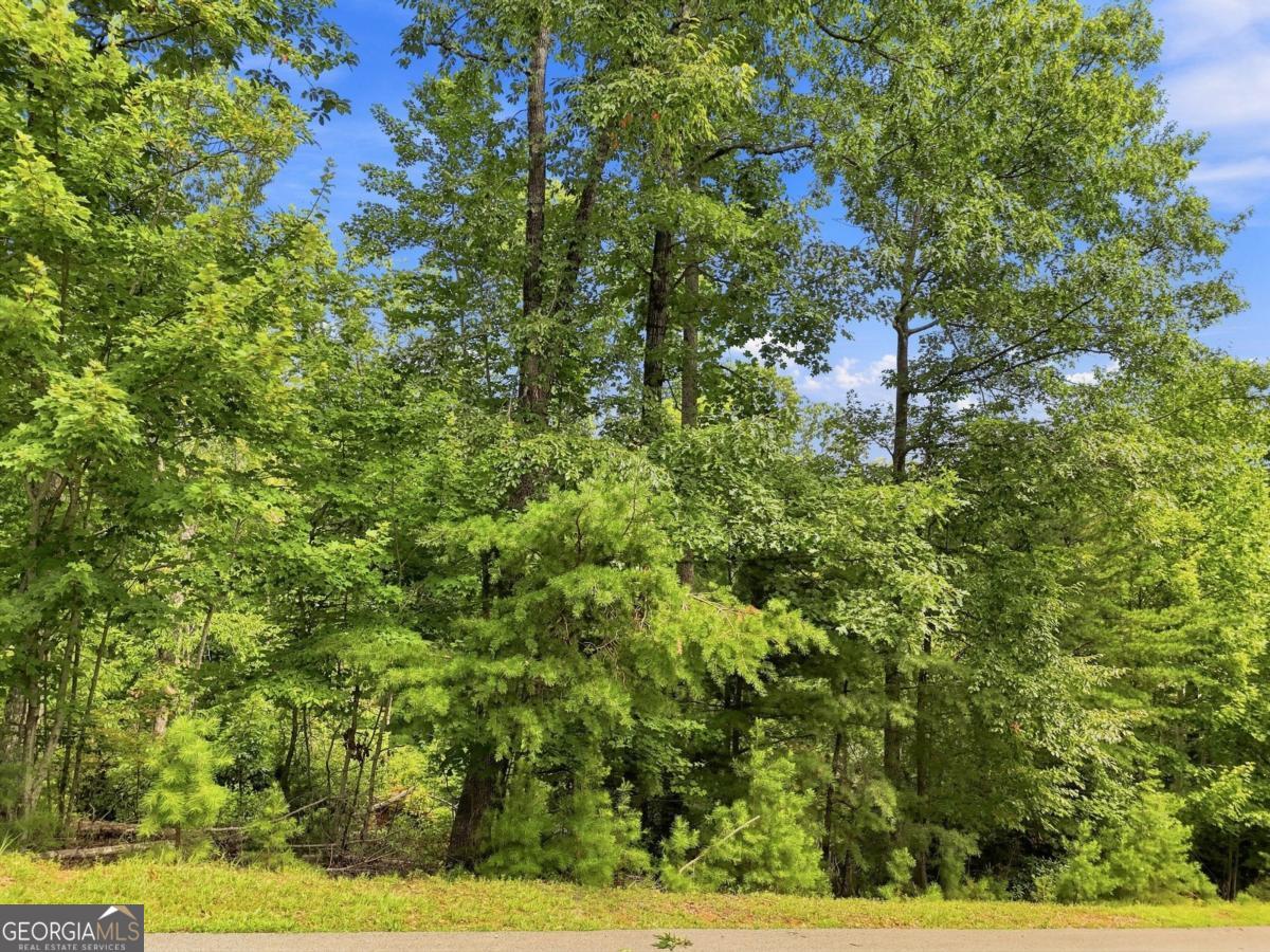 0 Deer Crest RD 22