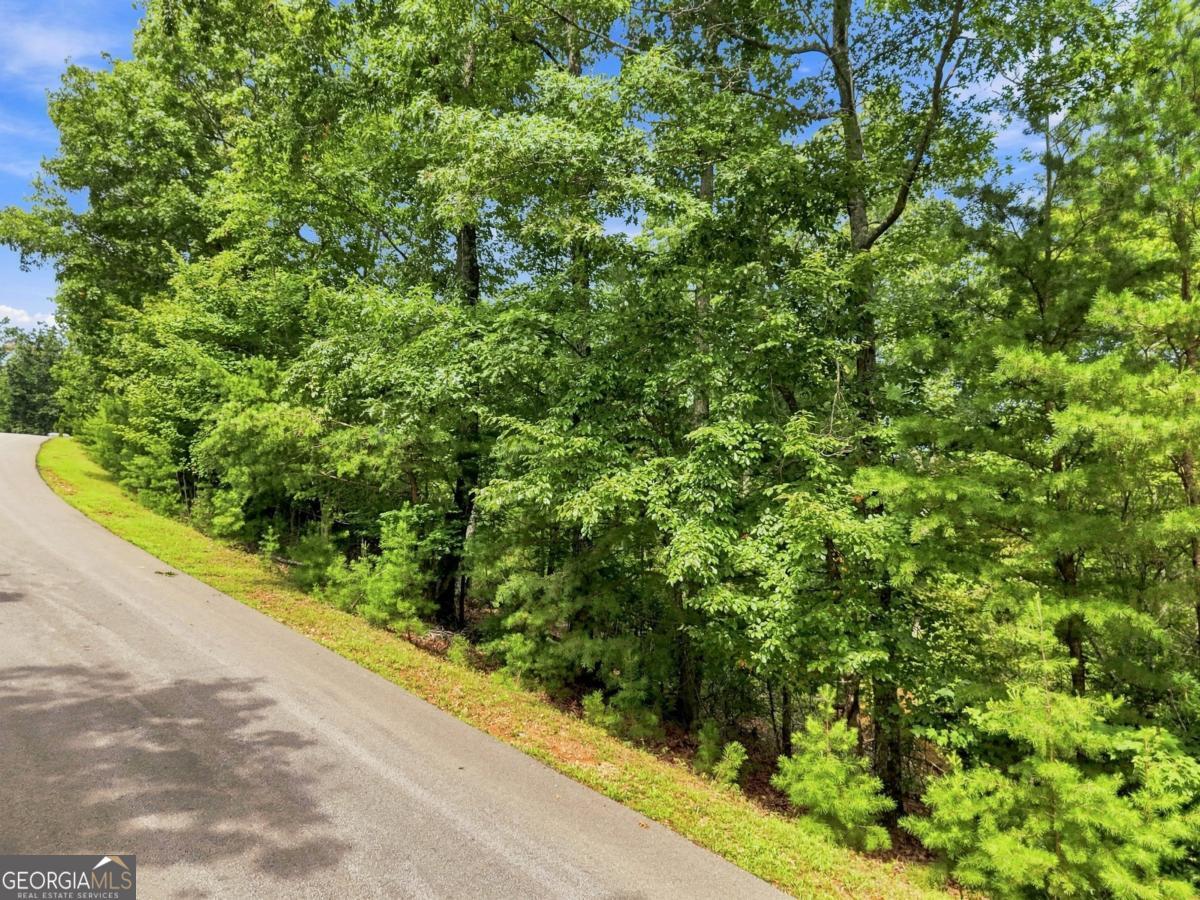 0 Deer Crest RD 22
