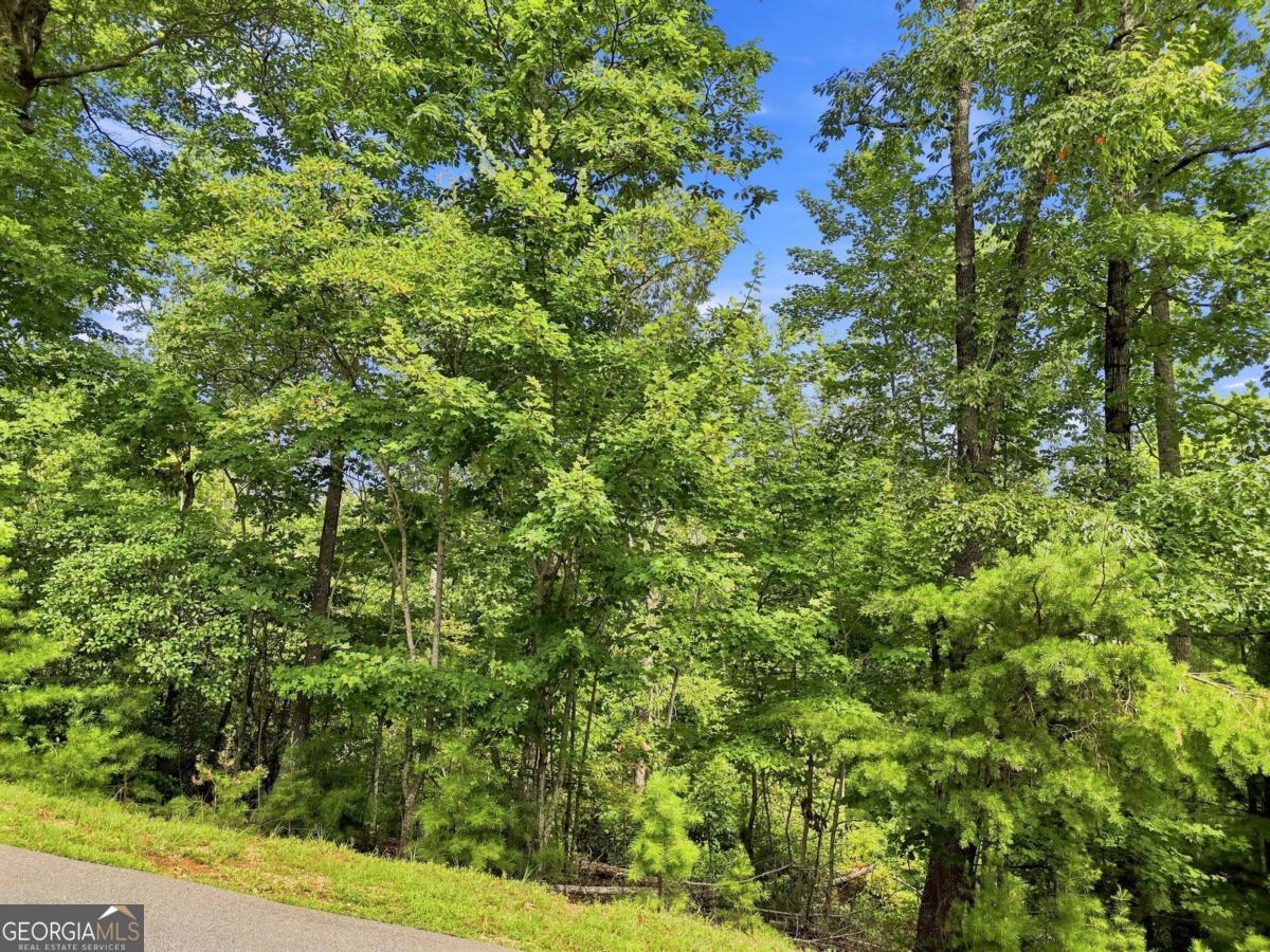 0 Deer Crest RD 22