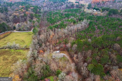 A home in Ellijay