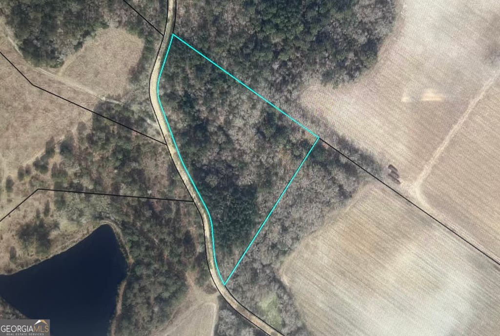 Photo of 2218 Pittman Rd, Cobbtown, GA 30420 (MLS # 10809256)