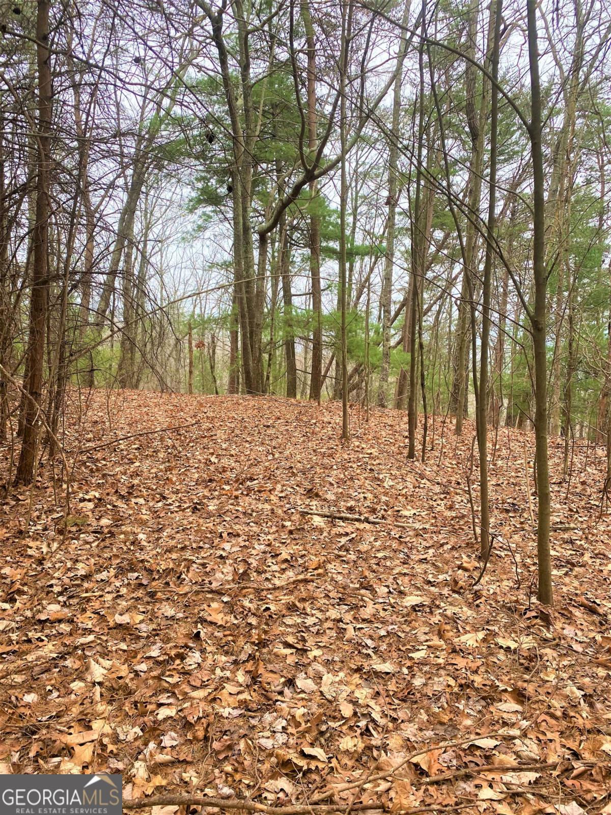 Have you dreamed of owning a chunk of land in the mountains, private, & rural with mountain roads where you may be able to try out your 4x4?Somewhere you can drive your atv or mountain bike and enjoy nature? This property is for you! Hike to the stream which crosses this property at the bottom or clear the old roadbed and drive your atv or mountain bike to the stream. Imagine building your rustic cabin with a wide porch where you can enjoy your morning coffee while watching for deer, bear, wild hogs. There is not an HOA, only an annual fee for gate and road maintenance. Property is very near the dead end of this road. Soil test completed for a conventional septic system, electric at the road as well as fiber optics internet. There are two small lakes at the entrance for property owners enjoyment.