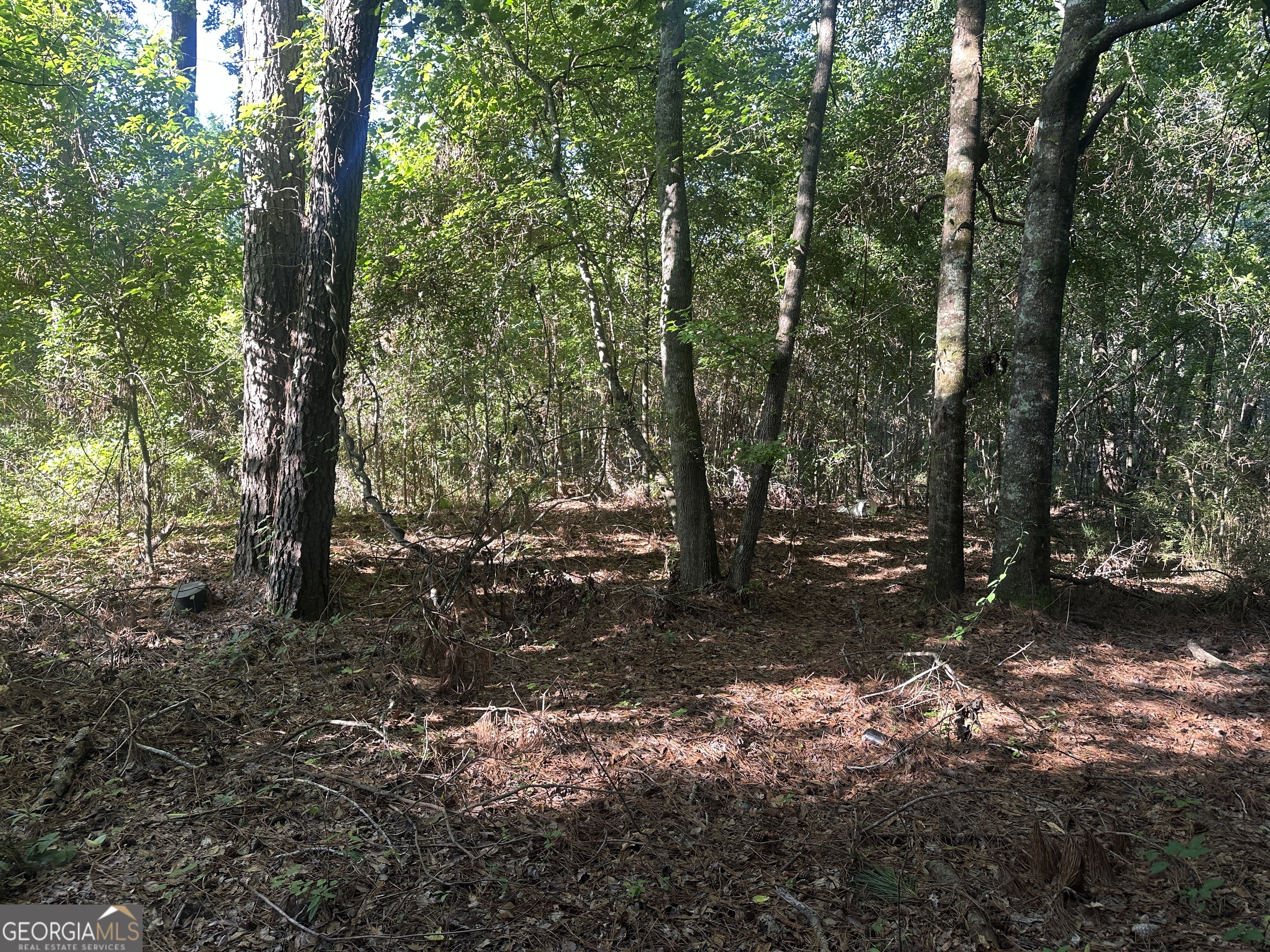 0 Burtons Ferry HWY