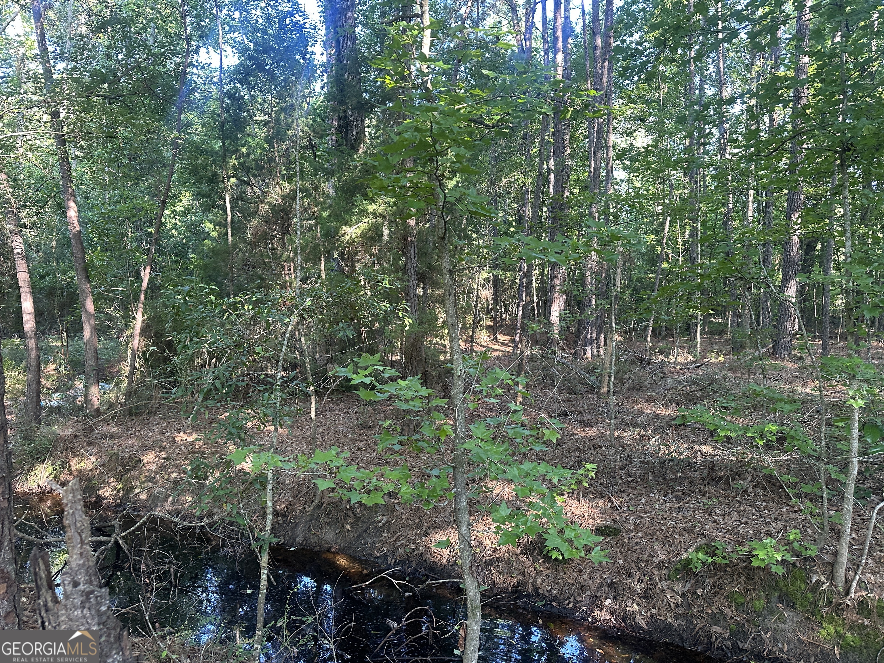 0 Burtons Ferry HWY