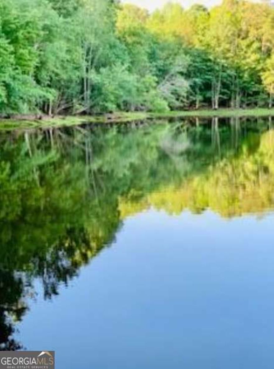 This property boasts a tranquil, spring-fed lake-fully stocked and nestled beside scenic Lake Horton-offering a peaceful, private retreat. Ideally situated just minutes from Trillith Studios and Peachtree City, and a short drive to historic Senoia, it provides both convenience and charm.