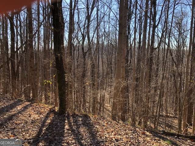 0 Highlands PKWY # LOT 45