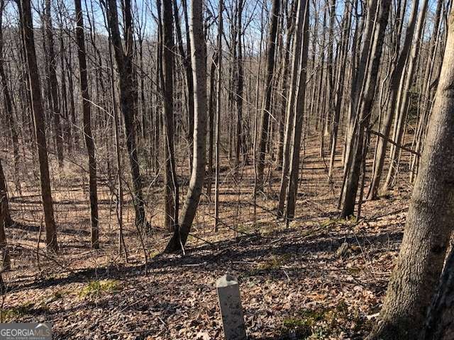 0 Highlands PKWY # LOT 45