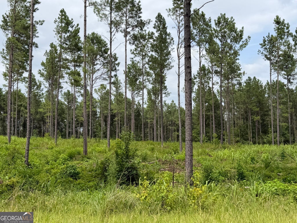 Photo of 6 Old Monticello Road, Milledgeville, GA 31061 (MLS # 10811688)