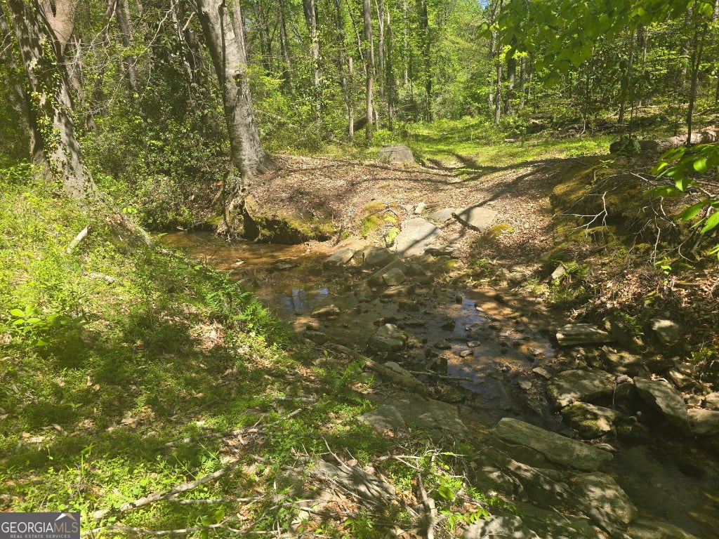 Photo of 0 Hilltop Lane, Toccoa, GA 30577 (MLS # 10870738)