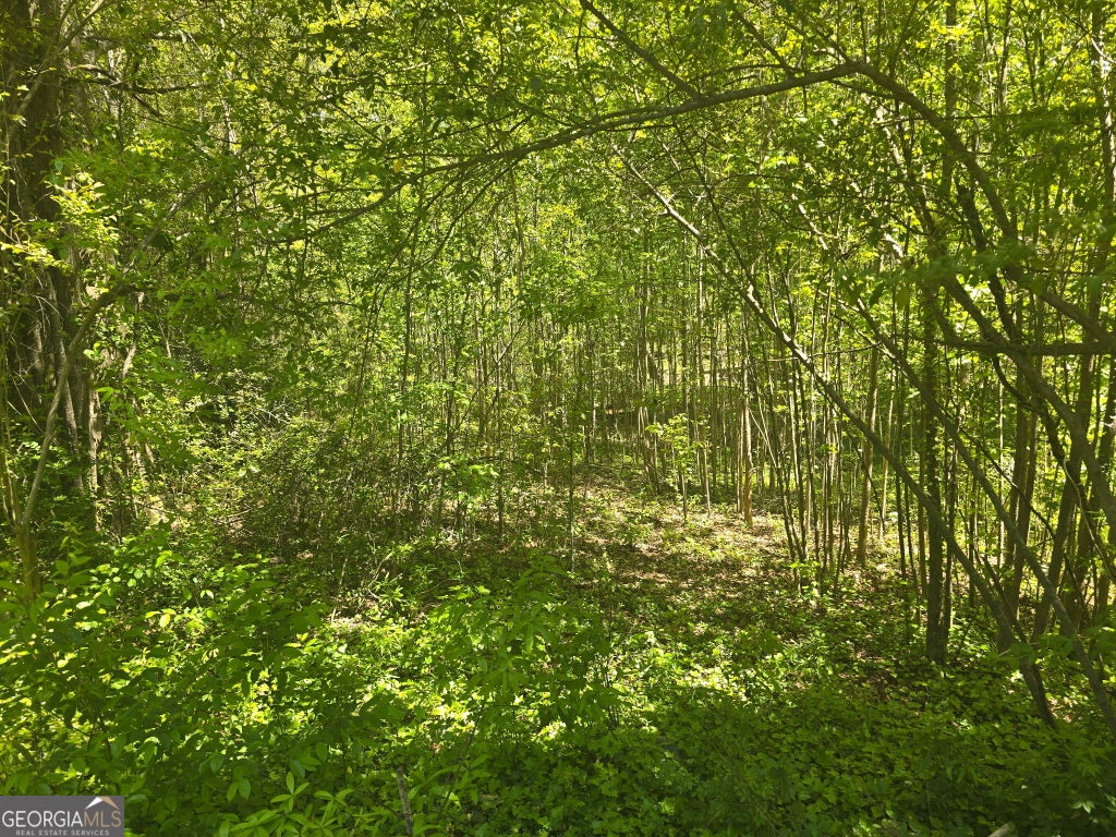 Photo of 0 Hilltop Lane, Toccoa, GA 30577 (MLS # 10870738)