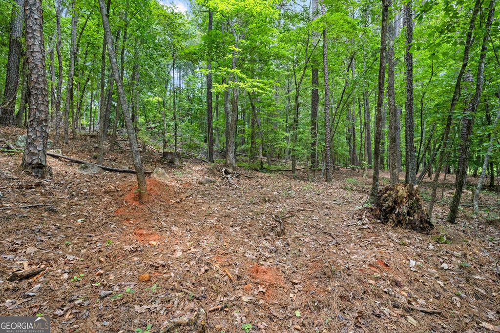 Photo of 0 Terry Road, Fairburn, GA 30213 (MLS # 10794353)