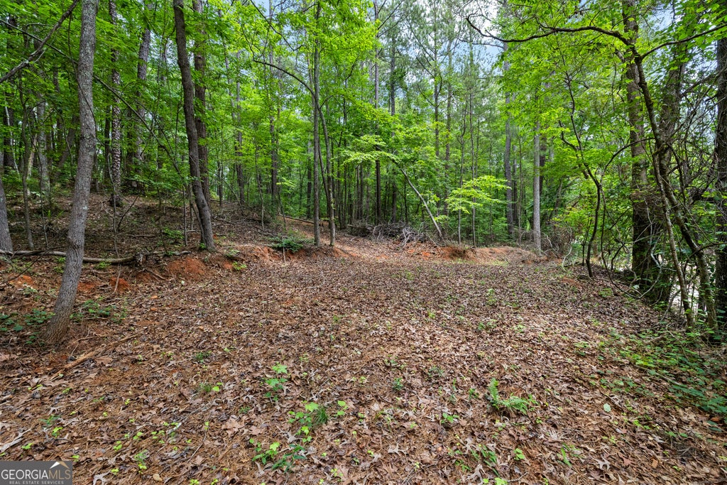 Photo of 0 Terry Road, Fairburn, GA 30213 (MLS # 10794353)