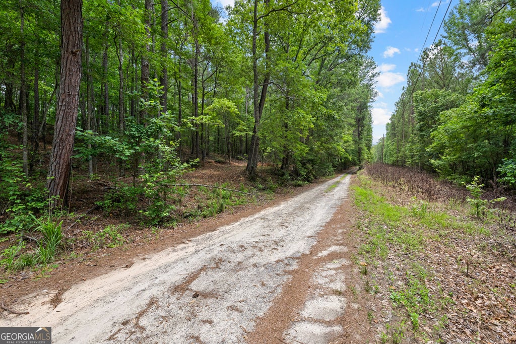Photo of 0 Terry Road, Fairburn, GA 30213 (MLS # 10794353)