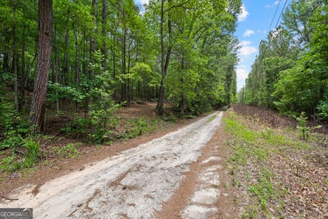 Photo of 0 Terry Road, Fairburn, GA 30213 (MLS # 10794353)