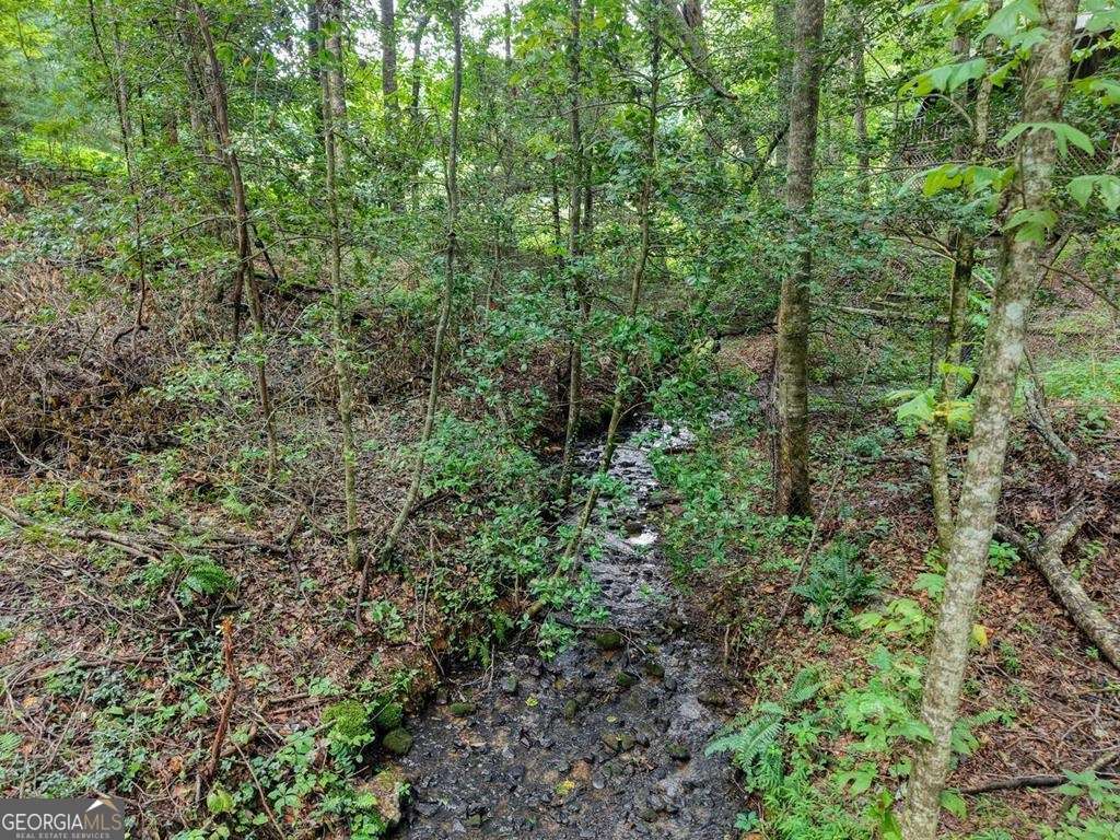 2479 Plum Orchard RD