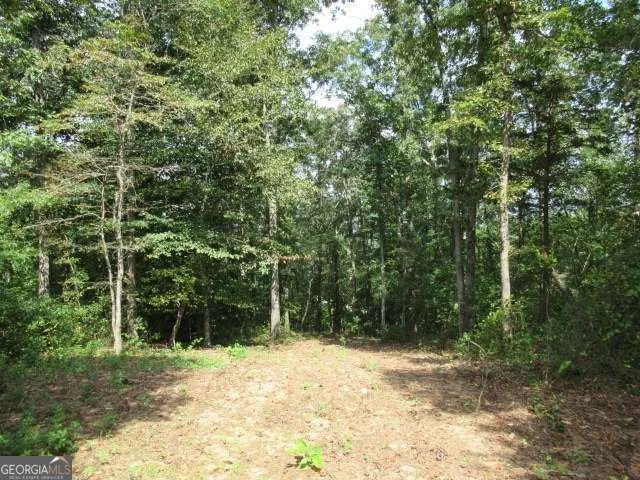 101 Winding Road Unit LOT 6