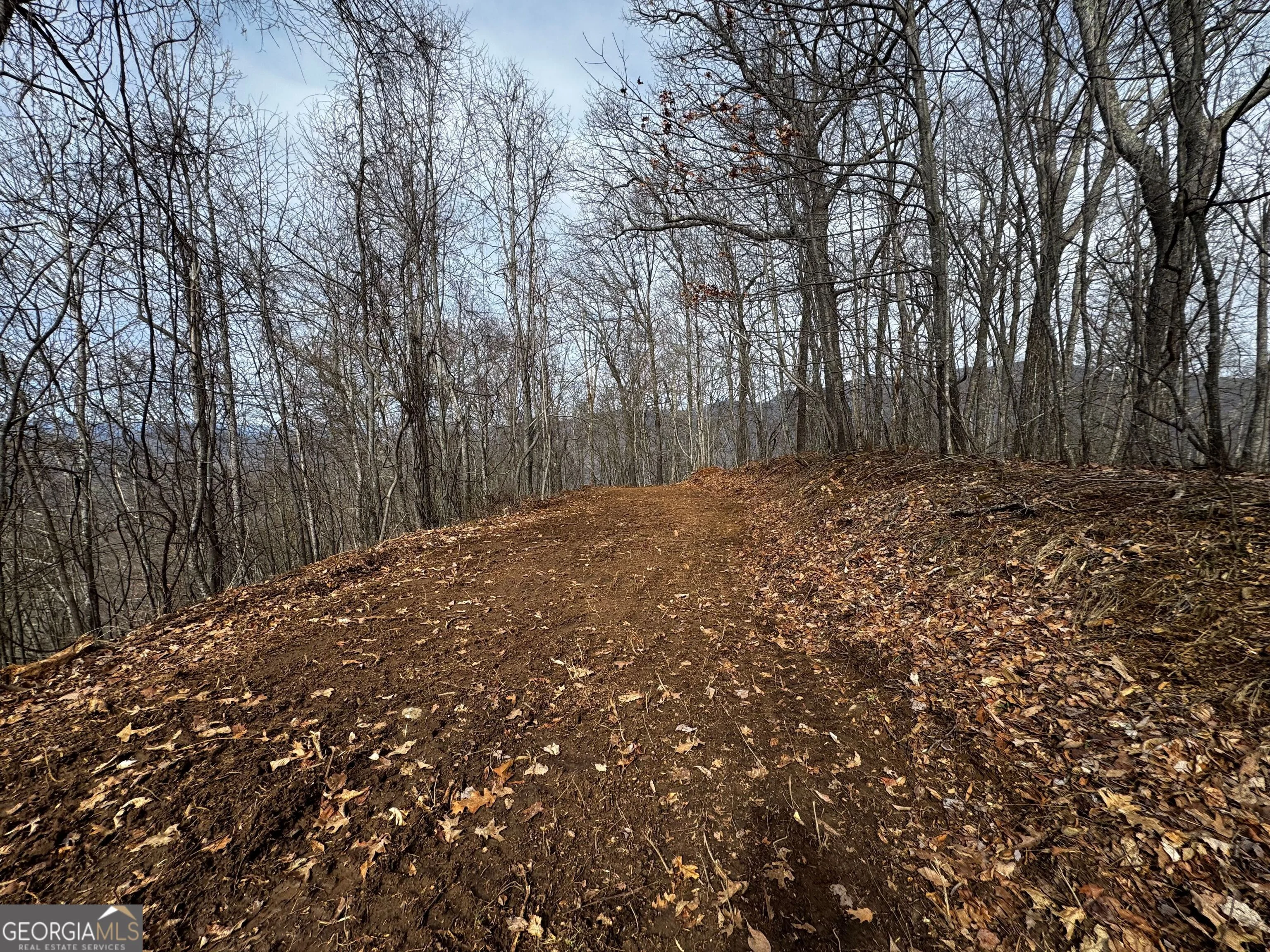 20 ACRES Burnt Leaf Lane, Hayesville, NC, 28904