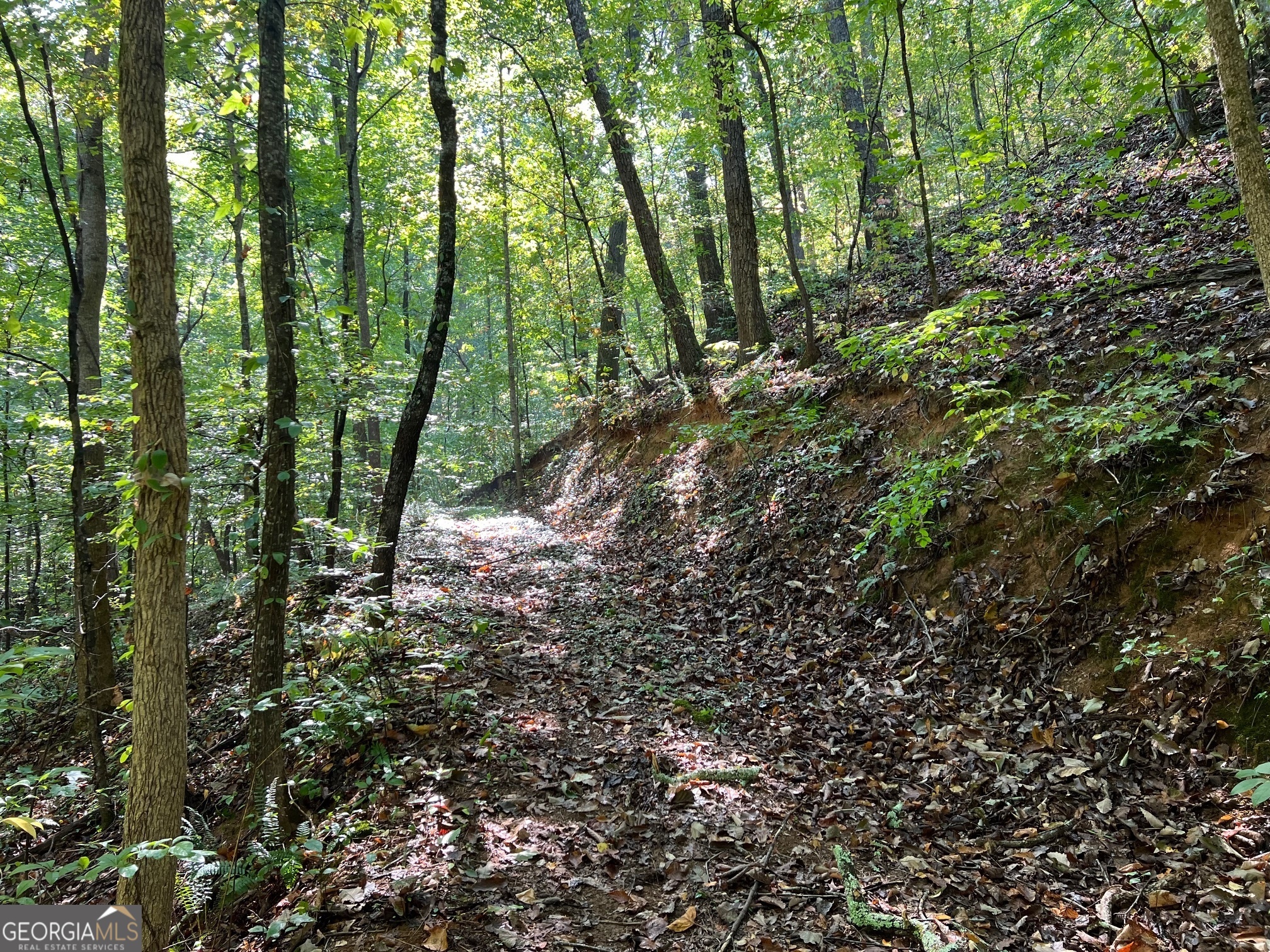 WELCOME HOME! Looking to build that dream home in the North GA Mountains. Come take a look at this affordable, peaceful & serene lot consisting of 2.48 acres located minutes from the gate. TRCR offers lots a great amenities such as pools, tennis & basketball courts, clubhouse, picnic area, playground, hiking trails, and The Trout Lodge which offers a beautiful lodge & located on the gorgeous Talking Rock Creek for those special family gatherings. There is also TROUT fishing as well. Stunning Carters Lake is located just 5 minutes from TRCR. Convenient to Ellijay & Jasper & a little over a hour from Atlanta. So grab those house plans & call your builder & come on up and lets make that dream into a reality. Go and see this today!! Additional lots available.