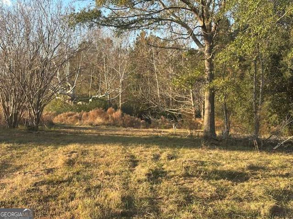 Photo of 8893 Sunbury Road, Claxton, GA 30417 (MLS # 10650601)