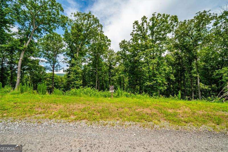 Acreage! Discover your dream property nestled in a serene, private gated community in the stunning North Georgia mountains. This expansive 1.02-acre lot #27 offers breathtaking views of the surrounding mountains and tranquil landscapes, making it an ideal retreat for nature lovers. Located near the scenic Downtown Blue Ridge, residents have access to exceptional amenities, including a clubhouse and refreshing swimming pool (when built), perfect for relaxation during warm day or at night to sit under the stars. This listing includes not just one, but three available lot properties! Purchase all three - Lot 27, 64, and 65 - for an attractive reduced price, making it an excellent investment opportunity. Owner financing may also be a possibility, providing flexible options to help you secure your slice of paradise. Don't miss out on this rare chance to build your dream home in a picturesque mountain setting! Rental of property, including Short-term renting, is currently permissible via HOA. Combining two lots may be possible with HOA and Fannin County approval.