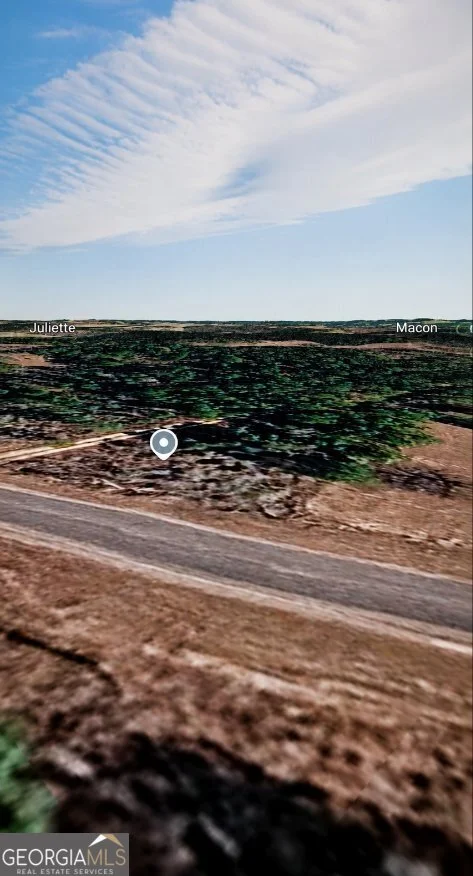 LOT 48 Pope Road, Roberta, GA, 31078