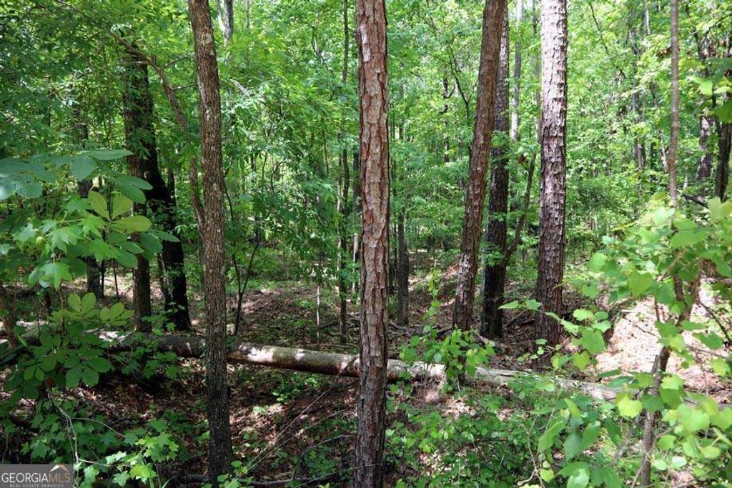 Photo of 77 Cherokee Road SW, Sparta, GA 31061 (MLS # 10693290)