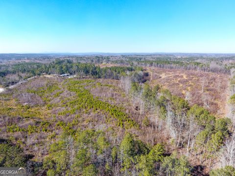 Photo of 0 Steadman Road, Tallapoosa, GA 30176 (MLS # 10689496)