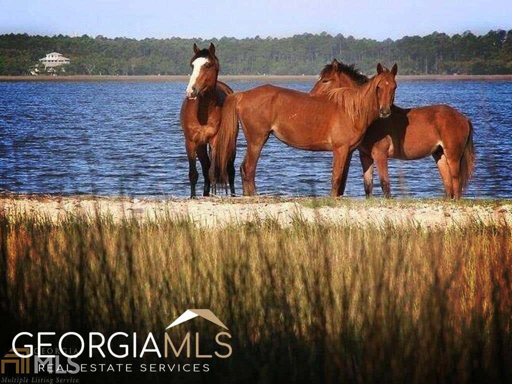 Photo of 306 Teather Drive, St. Marys, GA 31558 (MLS # 8951321)