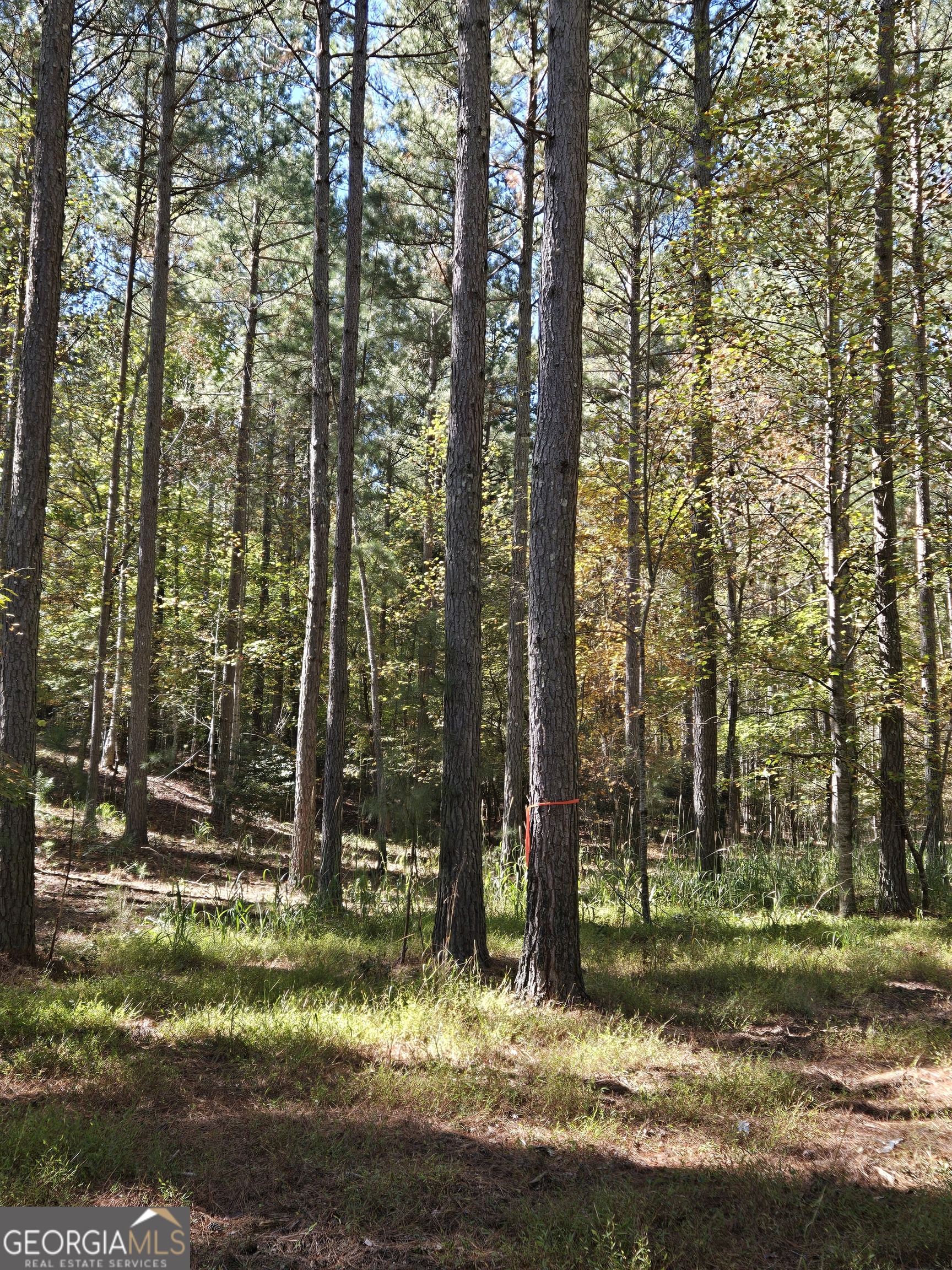 LOT 132 Sandy Lake Lane
