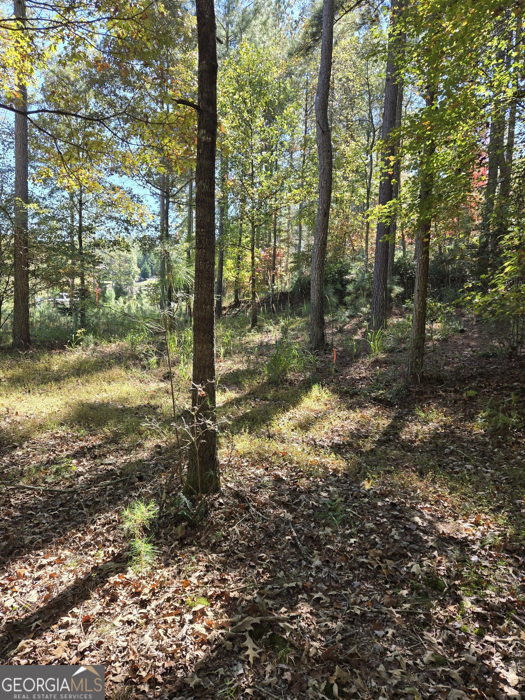 LOT 132 Sandy Lake Lane