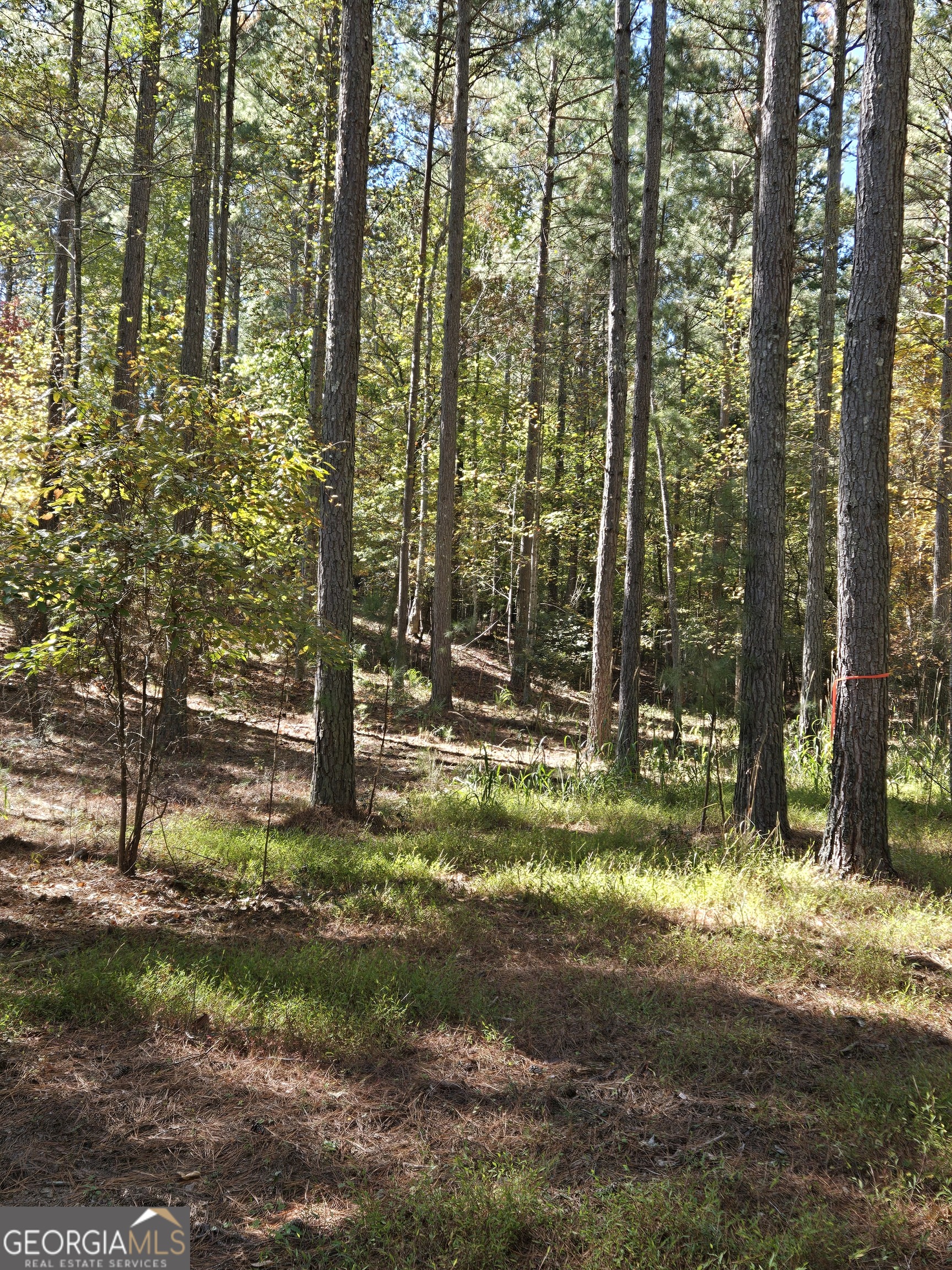 LOT 132 Sandy Lake Lane
