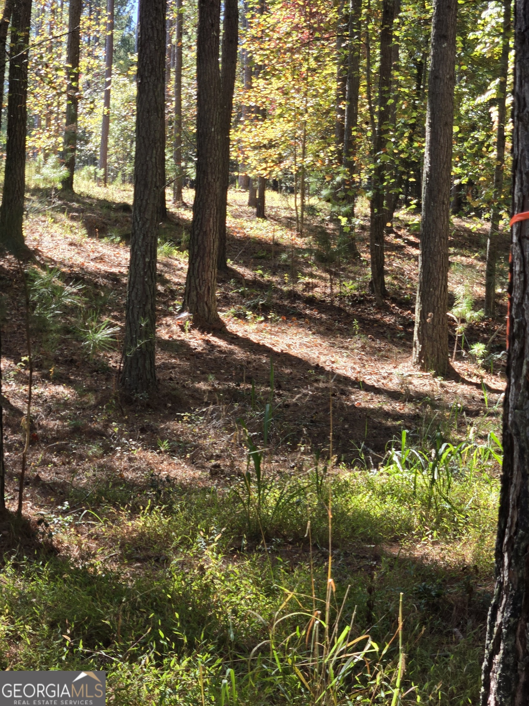 LOT 132 Sandy Lake Lane