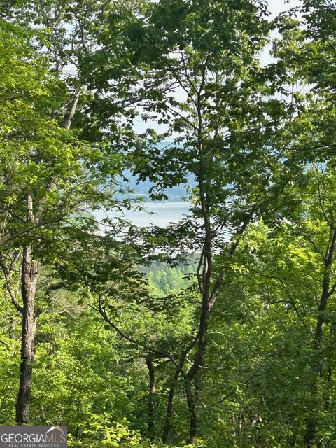 Photo of 324 Adair Drive, Ranger, GA 30734 (MLS # 10511246)