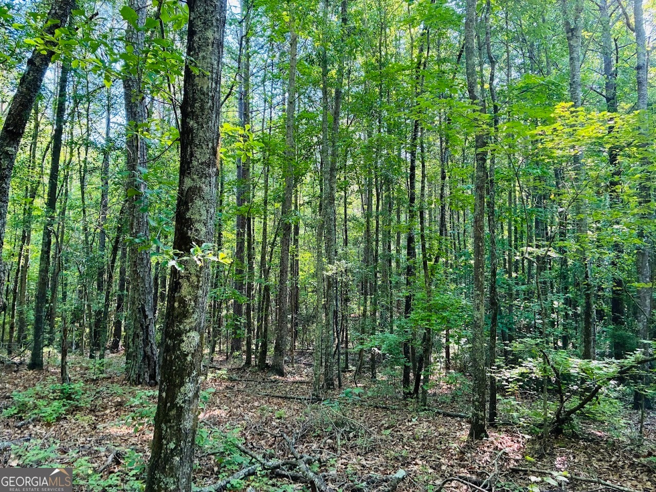 0 Creek RD LOT 3