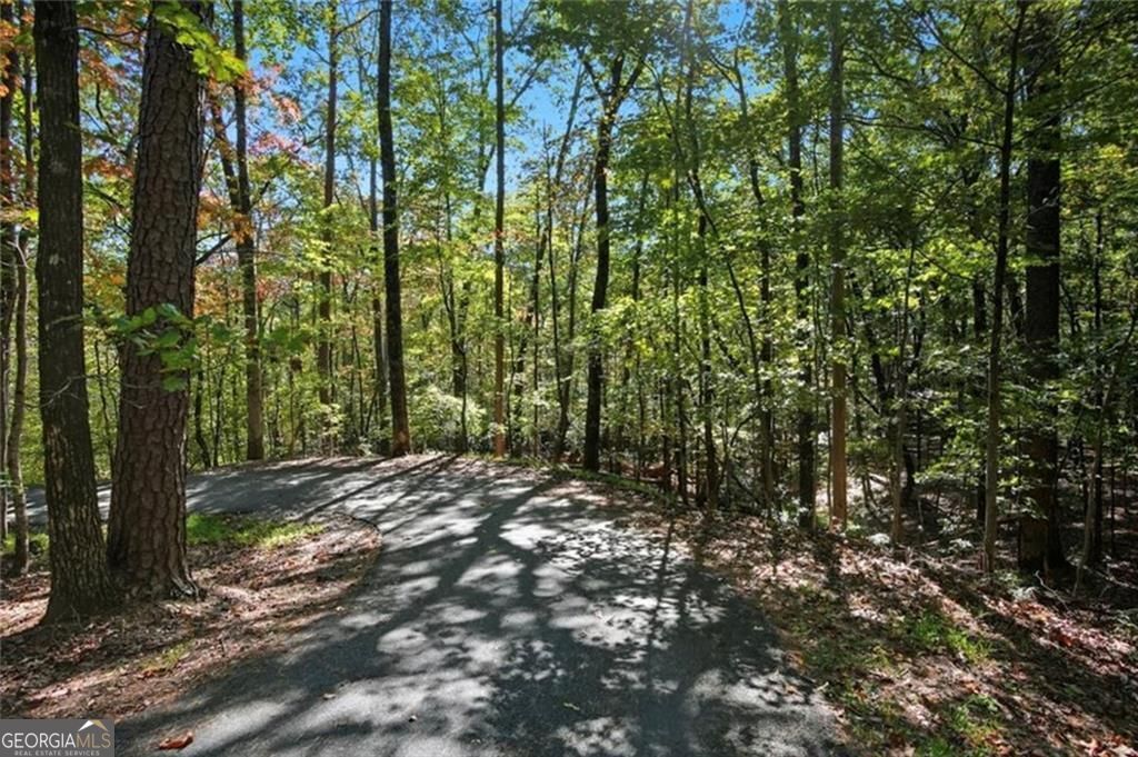 226 Wild Azalea CIR